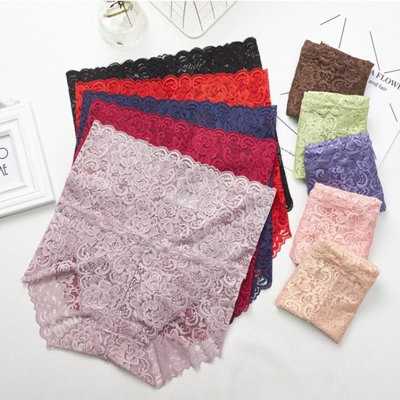 NEW High Waist Slender Lace Brief Panties - Picture 14 of 15